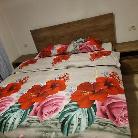 Apartamento Caci Črni Kal Exterior foto