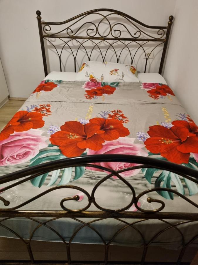 Apartamento Caci Črni Kal Exterior foto